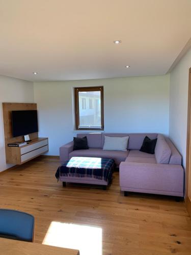 Televiisor ja/või meelelahutuskeskus majutusasutuses Hiša nad izvirom reke Krke