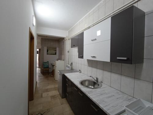 ヴラシチにあるMountain Relax Vlašićのシンクとカウンタートップのあるキッチン