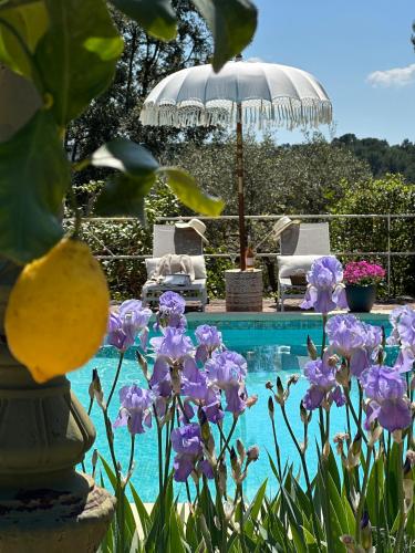 Les Pervenches Cottages - B&B en Lorgues