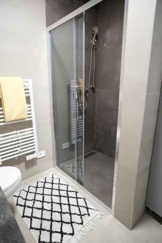 a shower with a glass door in a bathroom at Apartma Ana in Krško
