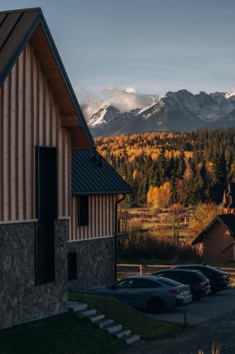 a house with cars parked outside of it with mountains at Wilcza Villa in Jurgów
