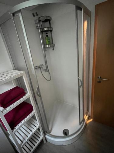 a shower with two red towels in a bathroom at Ferienwohnung an der Kirchruine in Bautzen