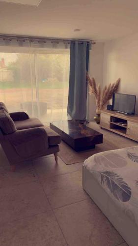 Grand studio cosy avec terrasse