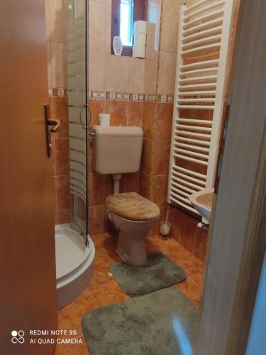 a bathroom with a toilet and a shower and a sink at Vikend kuća Libertas in Šišava