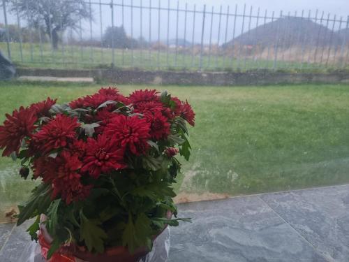 Zahrada ubytování Villa Nikol Apt #2