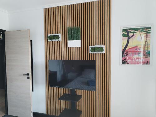 a living room with a tv and a striped wall at Le Côte d'Azur in Toulon