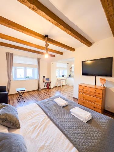 Apartament Jurajski parking 8 minut od alei