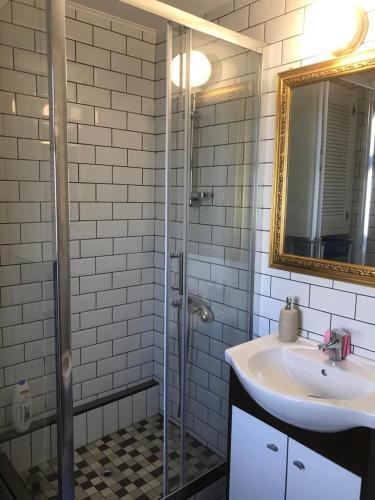 a bathroom with a shower and a sink and a mirror at Casa Nopcea in Silvaşu de Sus