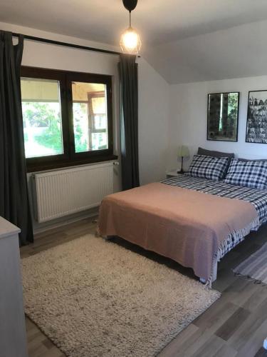 a bedroom with a large bed and a rug at Casa Nopcea in Silvaşu de Sus
