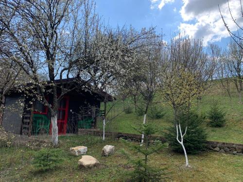 Ein Garten an der Unterkunft Casa Nopcea