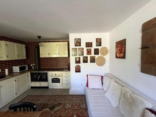 ein Wohnzimmer mit Couch und Küche in der Unterkunft Casa Nopcea in Silvaşu de Sus