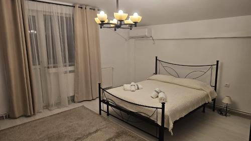 Voodi või voodid majutusasutuse Relax studio Craiovita toas