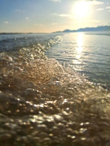 Příroda nedaleko prázdninového domu