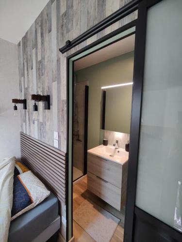 a bathroom with a mirror and a sink at Ateliers des rêves - climatisé, Dijon centre in Dijon