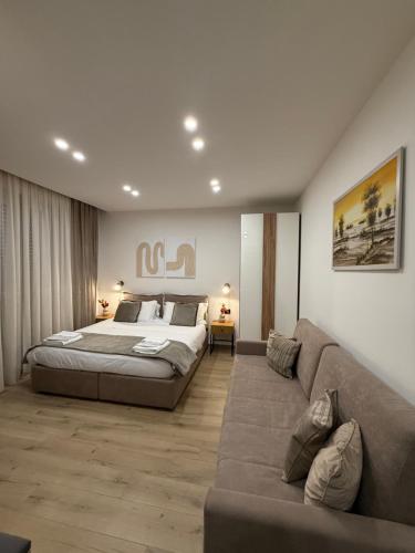 a large bedroom with a bed and a couch at Bala Dream House in Verano Brianza