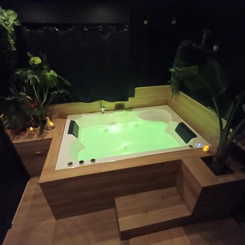 a jacuzzi tub in a room with plants at Suite Zen Balnéo in Montpellier