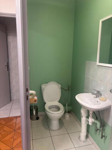 un baño con inodoro y lavabo en T3 proche de la source, en Ouhans