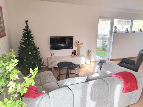 Chez Fernand à Colmar Maison neuve tout confort avec jardin et parking inclus