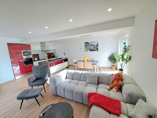 Chez Fernand à Colmar Maison neuve tout confort avec jardin et parking inclus