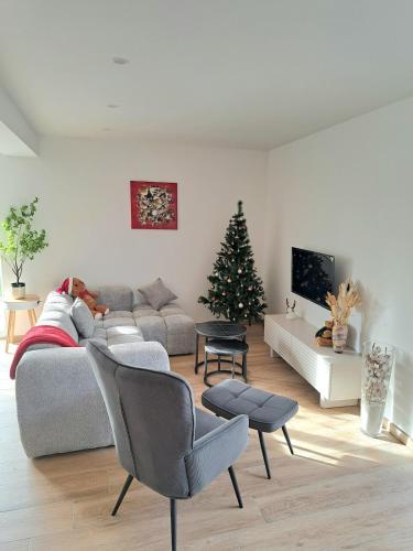 Chez Fernand à Colmar Maison neuve tout confort avec jardin et parking inclus