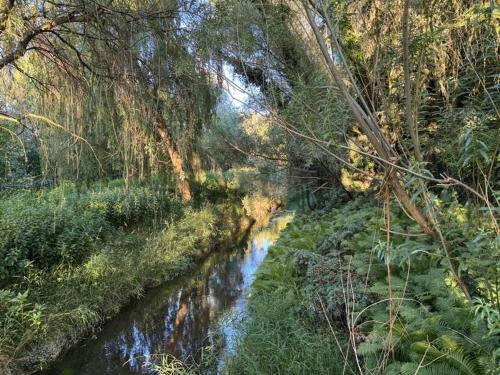 Fotografie z fotogalerie ubytování Domek Wiedźmy v destinaci Zawada