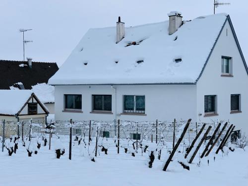 a group of birds standing in front of a white building at Gite Les deux belettes in Riquewihr
