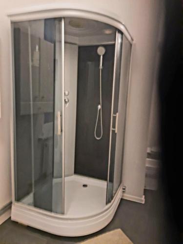 a shower with a glass enclosure in a bathroom at Stylish 2BR in Old Town Gem in Riga