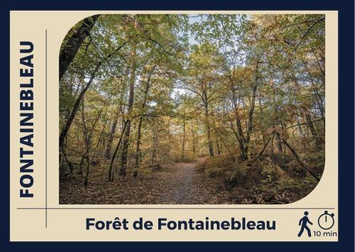 a picture of a trail in the woods at Le Nid Bellifontain - Appartement Confort - Centre in Fontainebleau