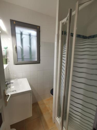 a bathroom with a shower and a sink and a mirror at Studio Le Yuka entre Mer et Montagne in Montesquieu