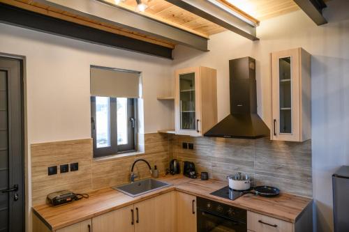 una cucina con lavello e fornello di Θριές Παρνασσός a Kalívia