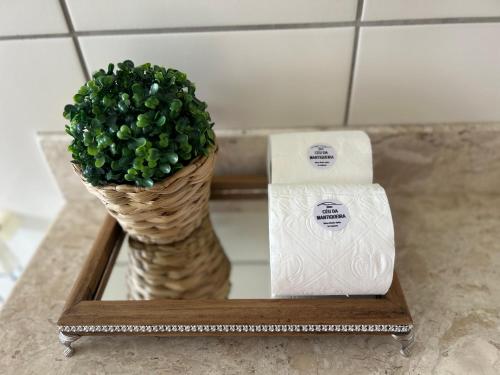 a plant in a basket next to a box of soap at Sítio Céu da Mantiqueira in Espirito Santo Do Pinhal