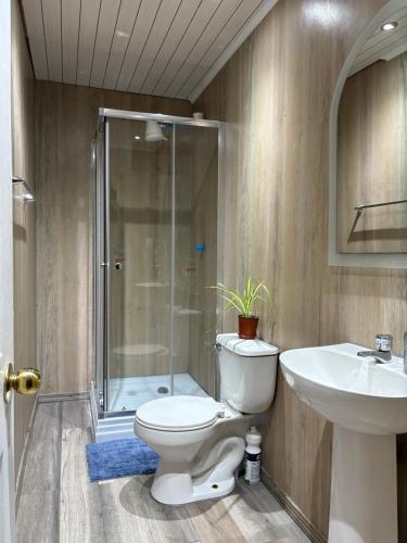 a bathroom with a toilet and a shower and a sink at Puerto sureño in Puerto Montt