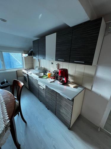 Η κουζίνα ή μικρή κουζίνα στο Cozy Loft Craiova 1