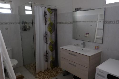 un bagno con doccia, lavandino e specchio di ALAMANDA DES ILES, a Sainte-Anne