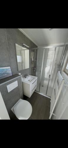 a bathroom with a toilet and a sink at Chalet Home Texel in De Koog
