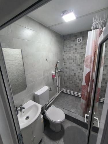 a bathroom with a toilet and a sink and a shower at Pensiunea Casa Bianca-Târgu Jiu in Târgu Jiu