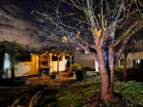 Κήπος έξω από το Hof van Lapscheure