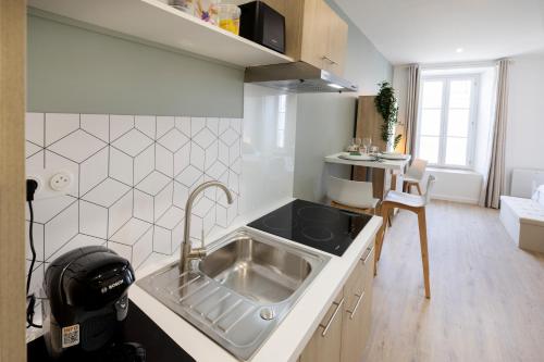 una cocina con fregadero y encimera en Le Vert Olivier- Studio tout confort, en Montluçon
