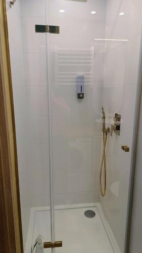 a shower with a glass door in a bathroom at Apartament na Manhattanie in Toruń