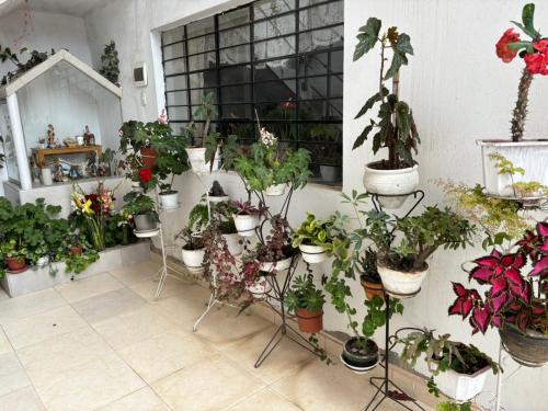 Zahrada ubytování Elincape