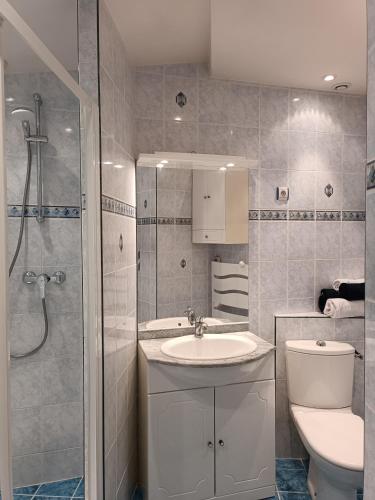 a bathroom with a toilet and a sink and a shower at La parenthèse Brognonnaise in Brognon