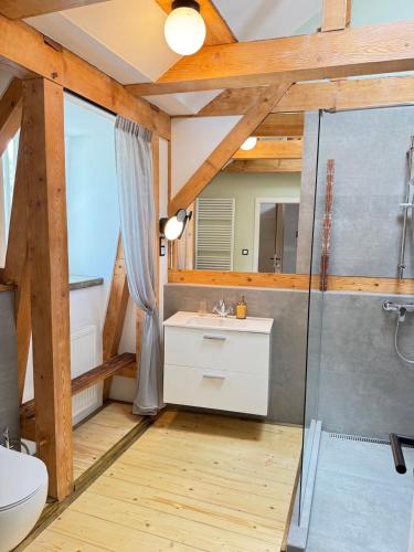 a bathroom with a sink and a glass shower at FOUR ROOMS Carlsbad Authentic in Karlovy Vary