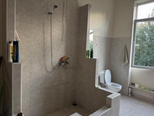 a bathroom with a shower and a toilet at A house in the woods in Patara Etseri