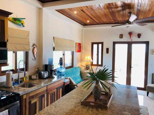 une cuisine avec un comptoir et un salon dans l'établissement Palm Life Belize, à Caye Caulker