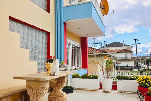 Cozy tricolor 2 bdr apt with gym & parking