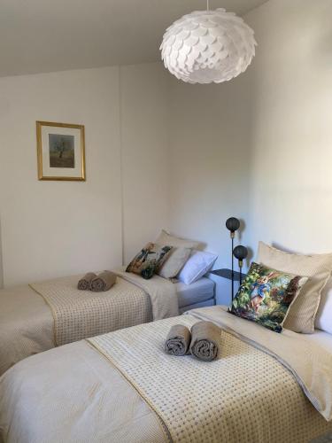 Llit o llits en una habitació de Petit Terrier