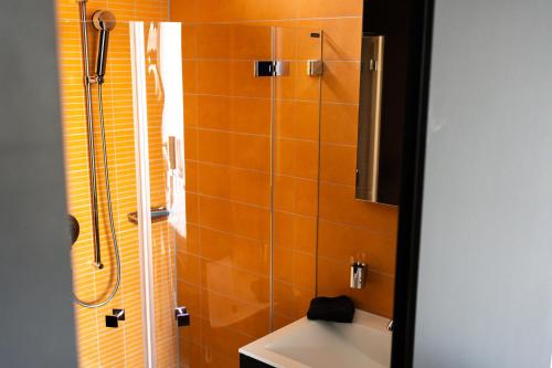 a bathroom with a shower and a white toilet at Charming studio by Lake Lucerne in Buochs