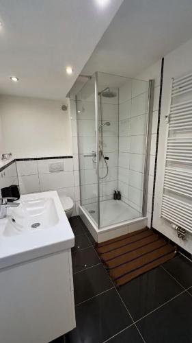 a bathroom with a shower and a sink at Hygge & Schwarzwald - 2 Zimmer Wohnung in Bad Krozingen in Bad Krozingen