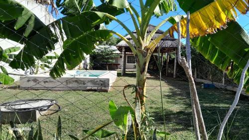 una valla delante de una casa con un banano en Santa Clara, en Paso de la Patria