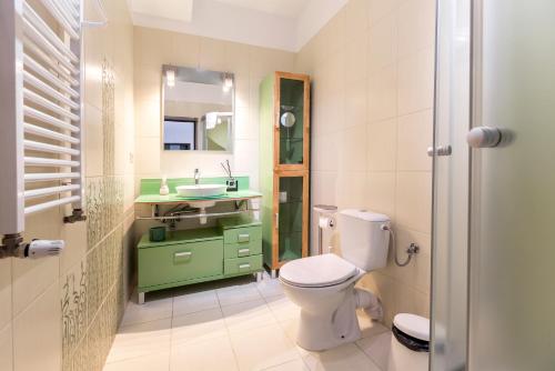 a bathroom with a toilet and a green sink at Apartament 41 w Willi Józefina, parking w cenie! MBnoclegi in Szklarska Poręba